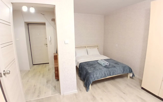 Квартира Уютная у ДК ПЗ