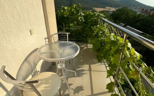 Vinograd Guest House