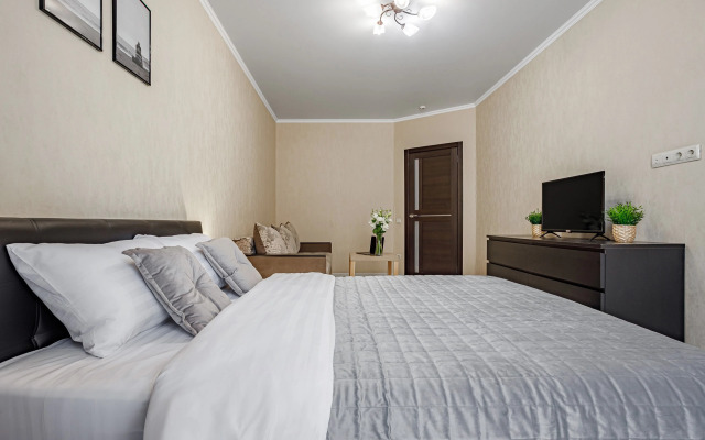 Domino Na Krasnoy Apartments