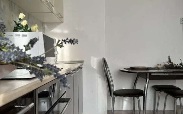 Na Ulitse Chkalova 231 Flat