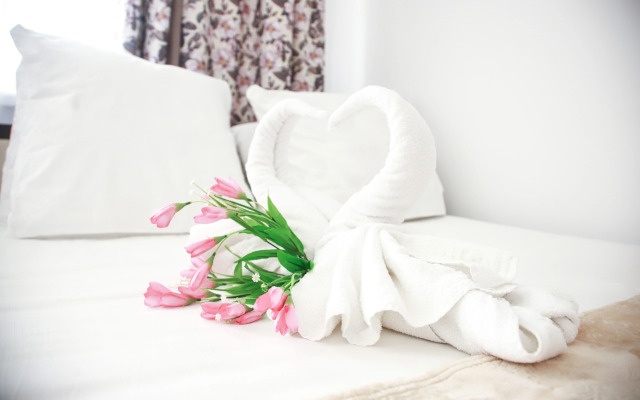 MAXROOMS у Плеса