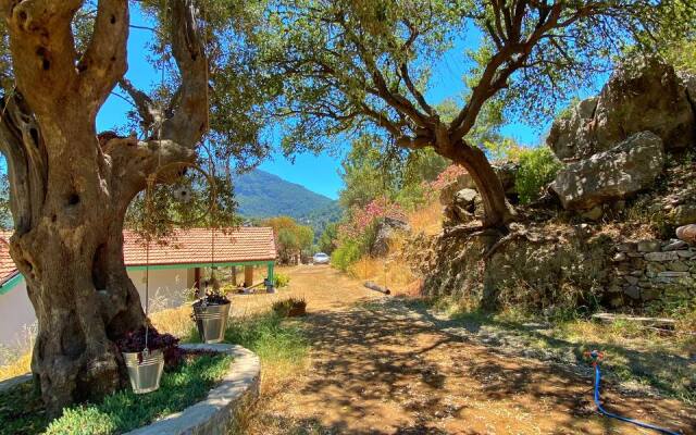 Iztuzu Homes Hotel