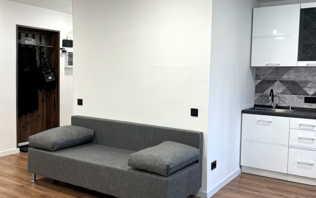 Апартаменты в Центре Города с Новым Ремонтом