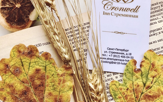 Отель Cronwell Inn Стремянная