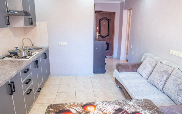 Na Gvardeyskoy Apartments 1