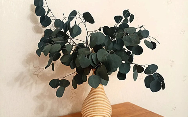 Квартира 3-комнатная в уникальном Амалиенау