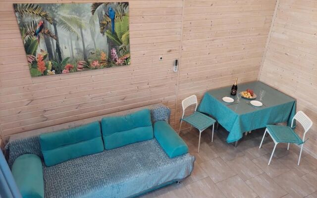 Частный дом в 1-м Академическом переулке 9