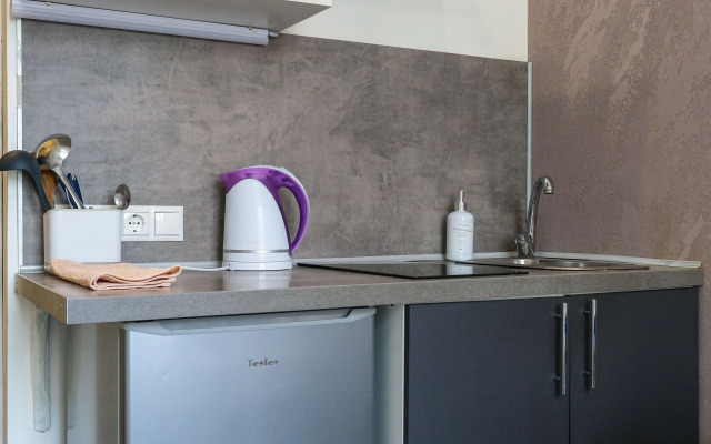 Апартаменты Букинист