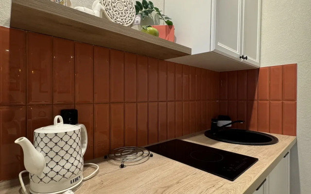 One-room Apartment in the City Center