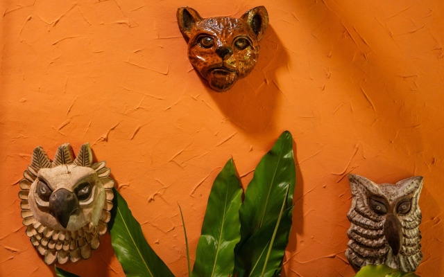 Отель Posada Amazonas