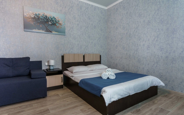 Dvukhkomnatnyye v tsentre Tyumeni Apartments 3