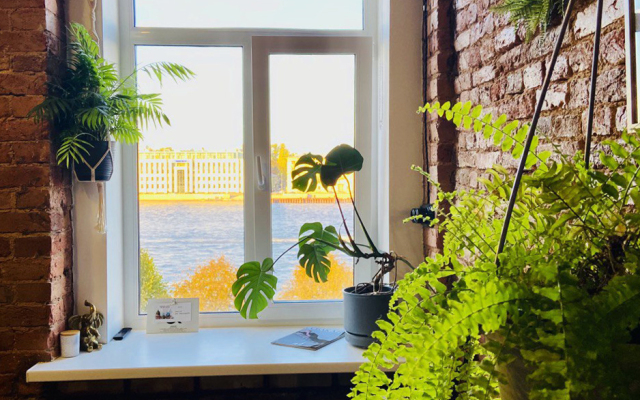 Апартаменты Green Loft Neva View