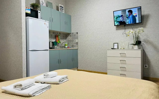 Квартира Уютная студия в п.Шушары, Школьная 15