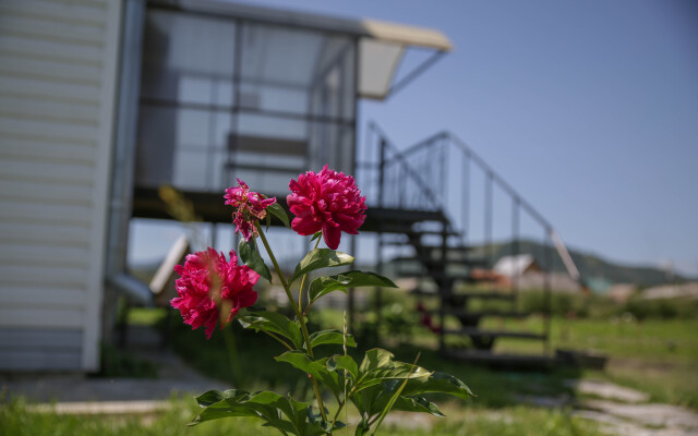 Portal Beluha Guest House