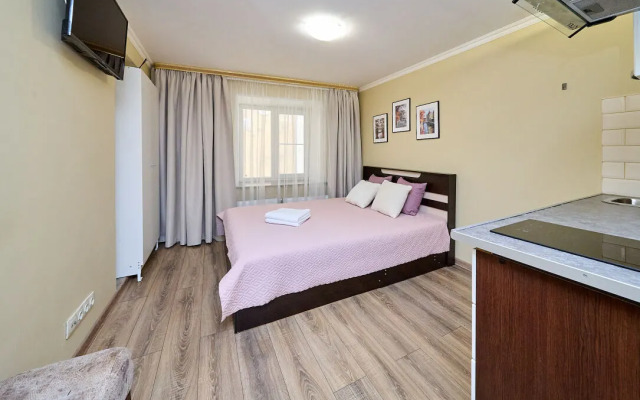 Апартаменты 4-я Советская 25 (2)