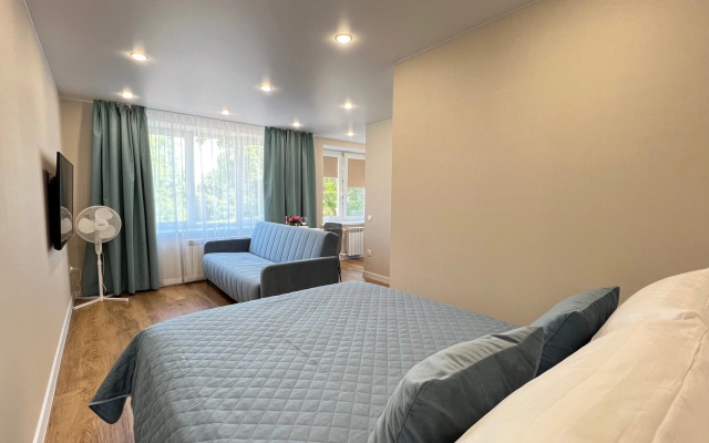 U Chasovoy Bashni I Doma Gildii Apartment