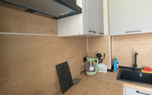 Апартаменты на Ольминского 307