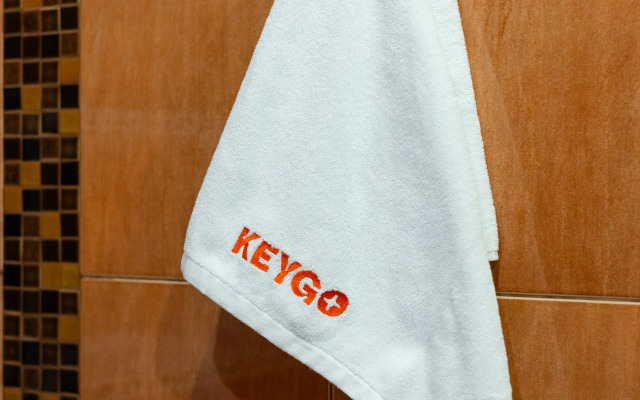 KeyGo 0215 Klyuch K Tsentru Yerevana Apartments