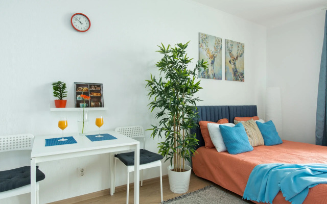 Blue Apart ZimaLeto Flat