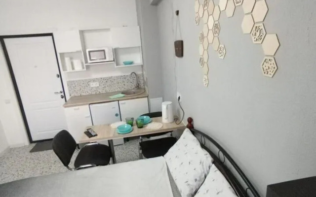 Studiya Na Mikrorayone Beryozovy 148 Flat