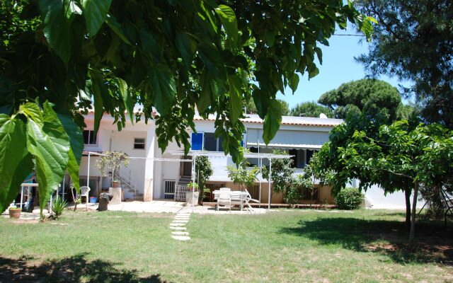 Alexander Apartments