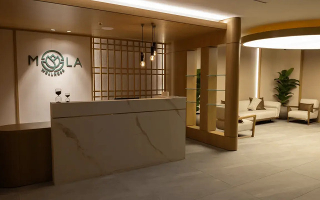 Mola Istanbul