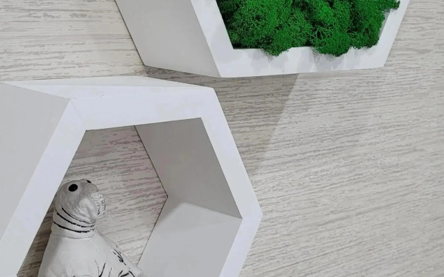 Квартира в центре города Оленегорск