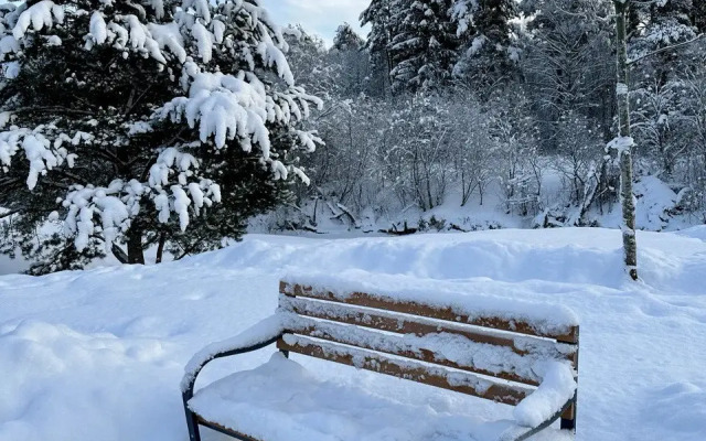 Апартаменты Ohta Suite 21