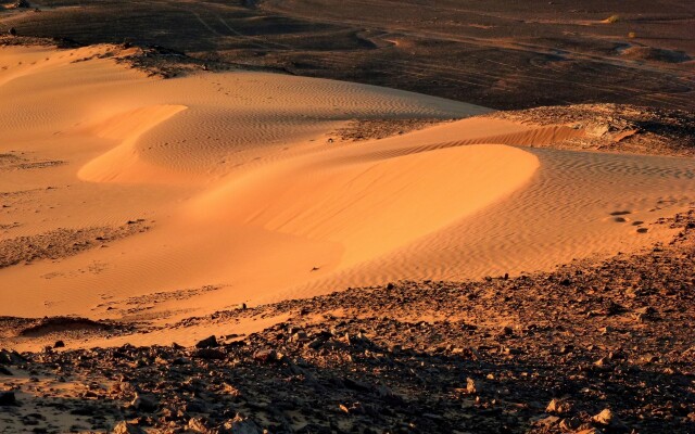 Гостевой дом La Vallée des Dunes