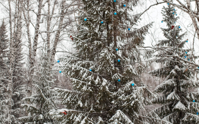 Отель Поляна VERDE