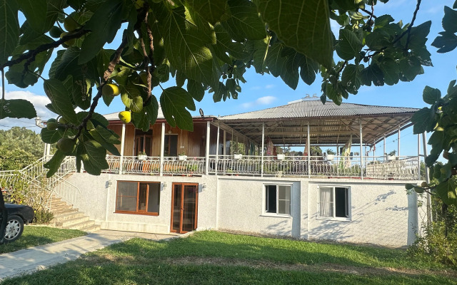 Tsitrus 21 Guest House