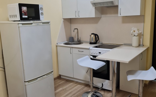 Lva Tolstogo 12 Apartments
