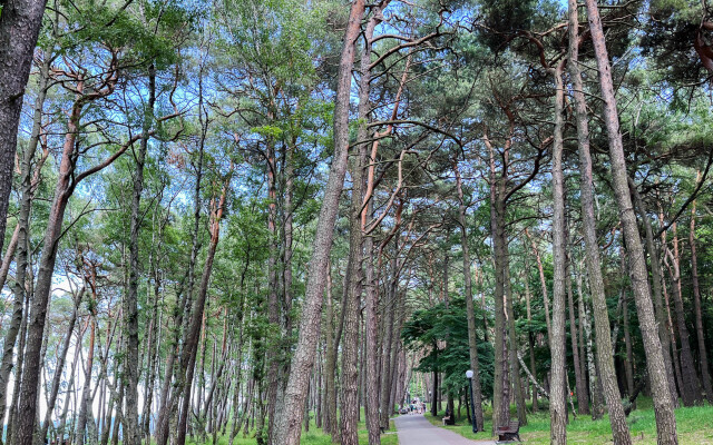 Квартира на Комсомольском Переулке 3