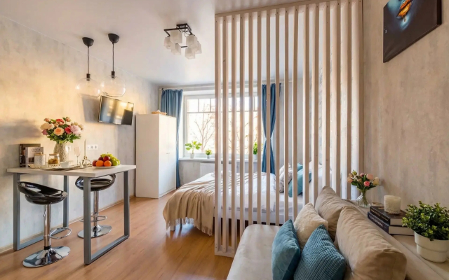 Апартаменты Stepanenkov на Чайковского 56 (4)