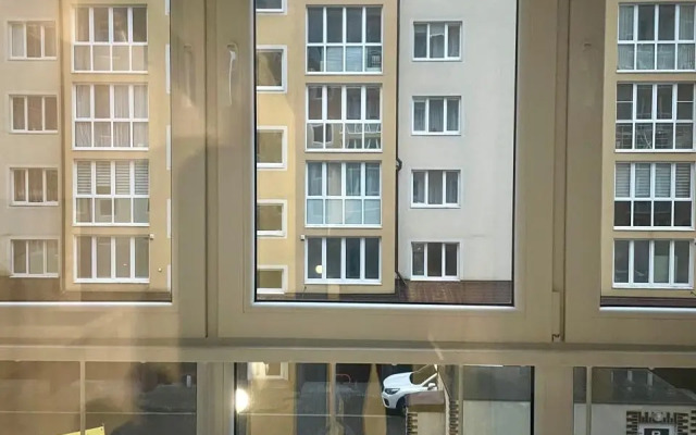 Potemkina 17 Tsentr Zelenogradska Apartments