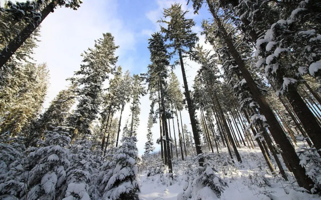 Парк-Отель Нара Эстейт