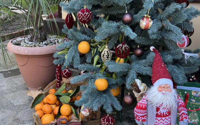 Mandarinovy Dvorik Private House