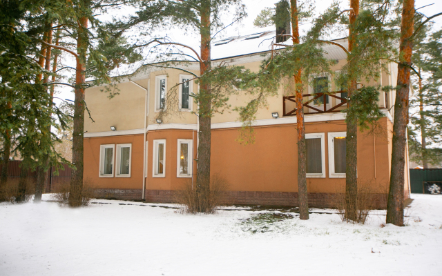 Dom V Aleksandrovke Guest House