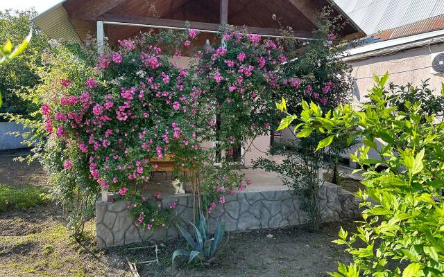Novy Afon Guest house