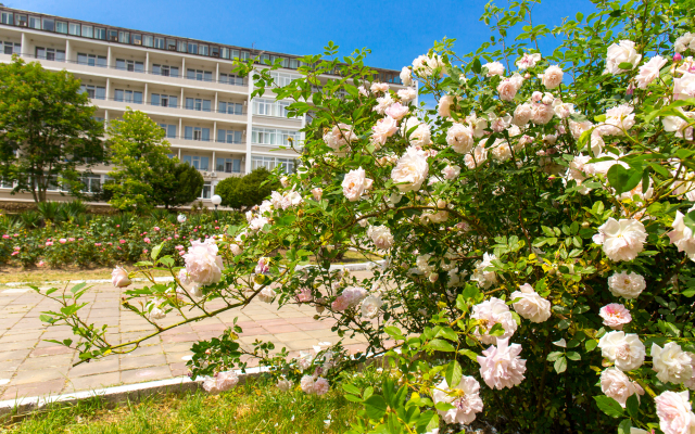 Arhipo-Osipovka FMBA Rossii Sanatorium