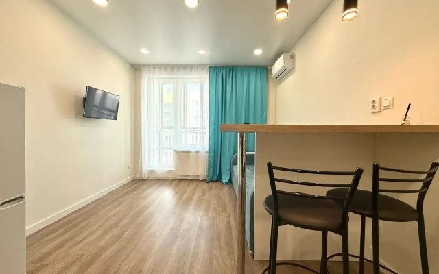 Prekrasnaya Studiya Ryadom S Tsentrom I Metro Flat