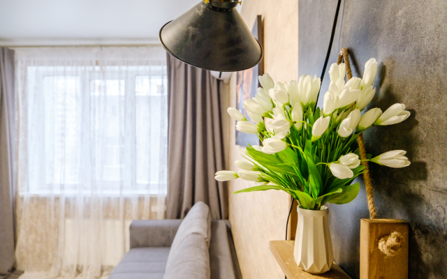 Апартаменты SILVER на Шафиева 44/1