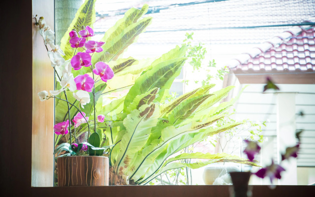 Отель Suchanan Hotel & Spa