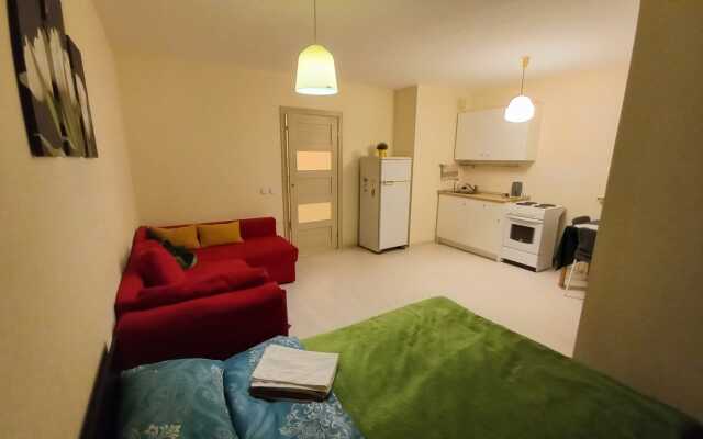 Comfortable apartments on Prazhskaya