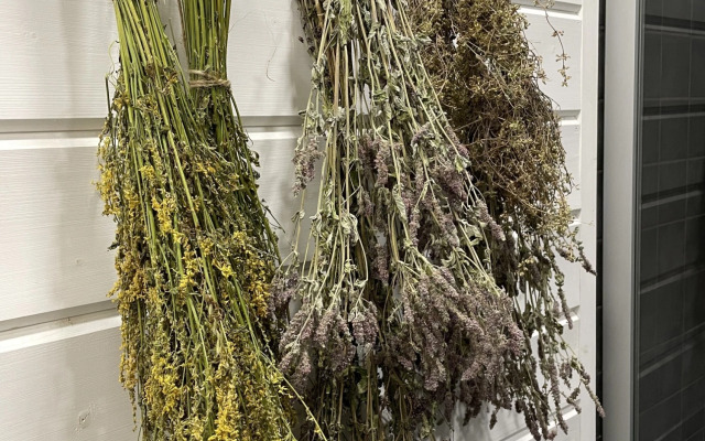 Шале Сказочная Скаут дача в хвойном лесу