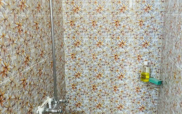 Гостевой дом Дом Маклино