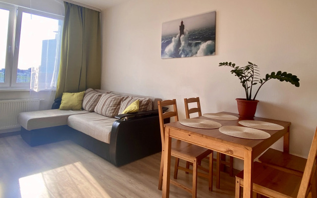 Inroomspb Na Yevgeniya Shvartsa 11 Flat