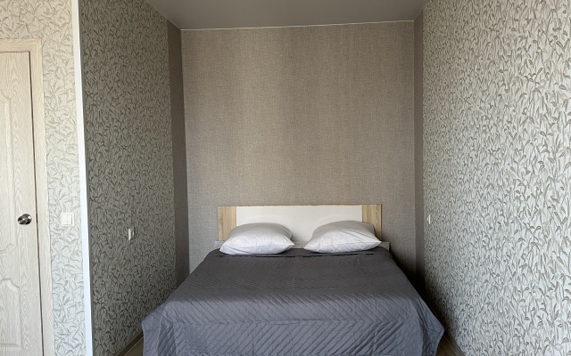 Odnokomnatnaya Moskovskiy 55 Flat