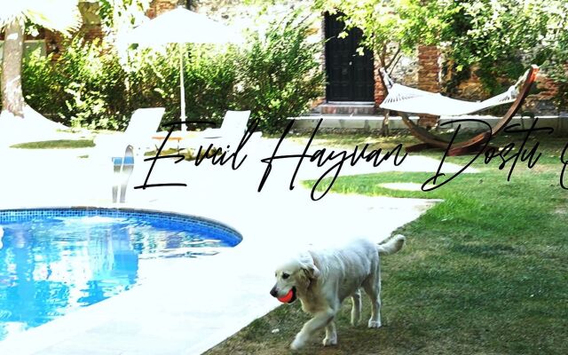 Бутик-отель Manastırhan Kazdağları Butik-Hotel