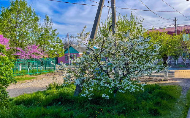 S Otdelnyim Vhodom I Parkovkoj Apartments